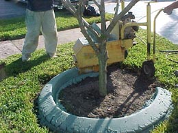 Curbing Machine